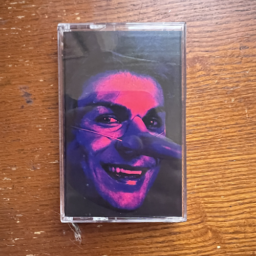 Photograph of a cassette of Nature Tapes by Lemon Demon