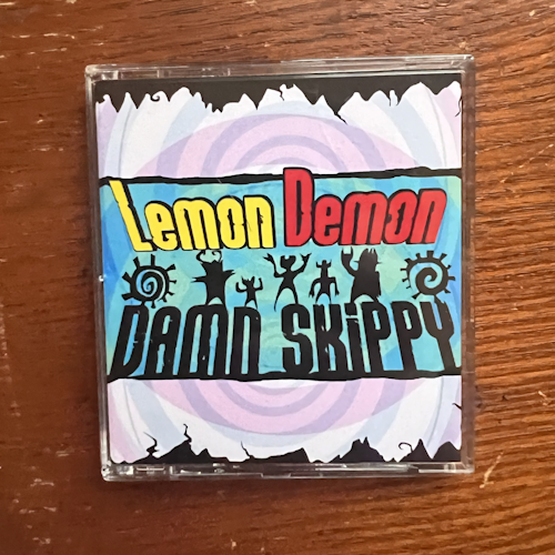 Photograph of a MiniDisc of Damn Skippy by Lemon Demon